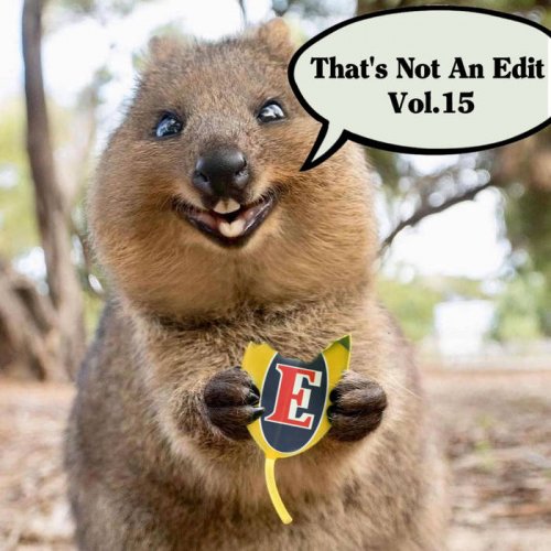 VA - That's Not An Edit Vol.15 (2021)