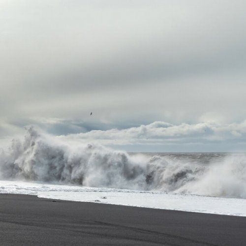 Warmth - The Black Sand (2024)