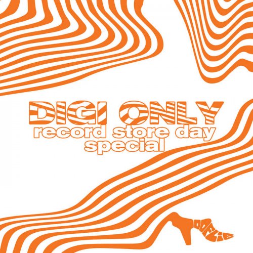 Unknown Artist(s) - DIGI ONLY Record Store Day Special (2024)