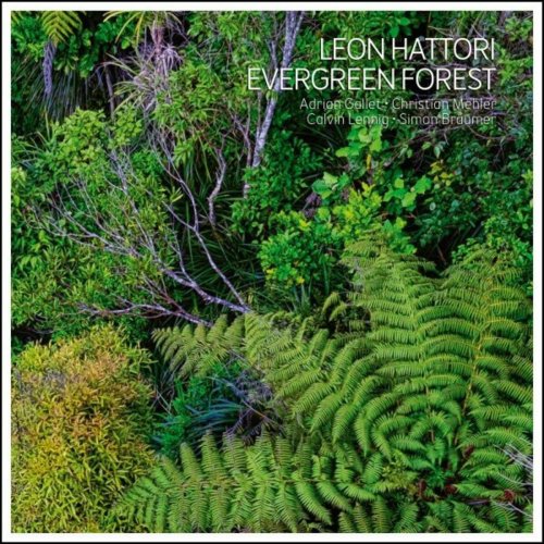 Leon Hattori - Evergreen Forest (2024)