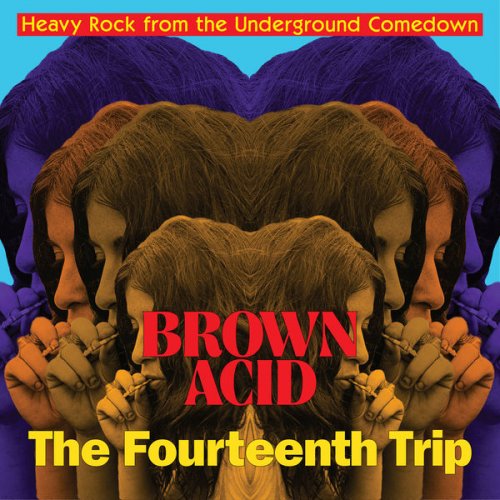 VA - Brown Acid: The Fourteenth Trip (Heavy Rock From The Underground Comedown) (2022)