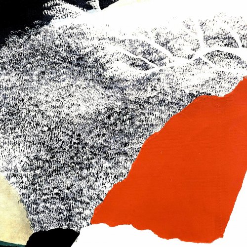 Areng Demontfaucon - I Thought I Saw an Eagle But it Might Have Been a Vulture; I Never Knew the Difference (2024)