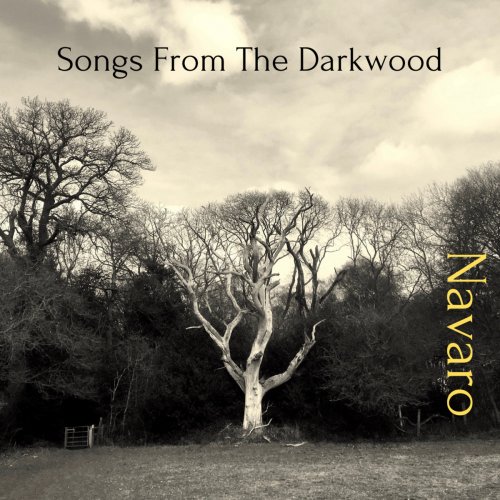Novaro - Songs From The Darkwood (2024)