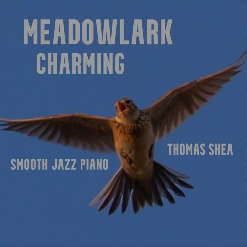 Thomas Shea - Meadowlark Charming (2024)