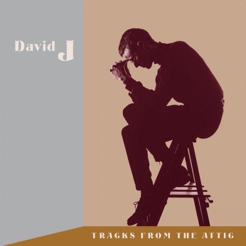 David J - Tracks From The Attic (2024)