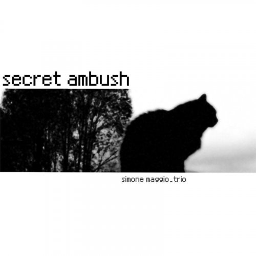 Simone Maggio Trio - Secret Ambush (2016)