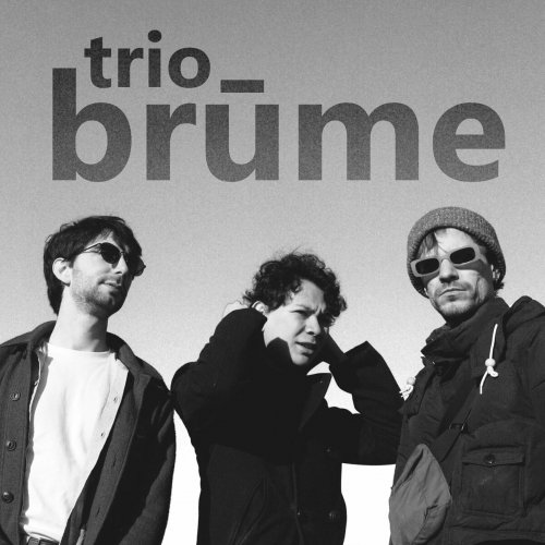 Trio Brūme - Winter Session (Live) (2024) Hi-Res