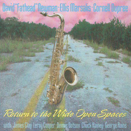 David "Fathead" Newman, Ellis Marsalis, Cornell Dupree - Return to the Wide Open Spaces (1990)