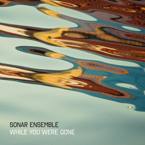 Sonar Ensemble - While You Were Gone (2010)