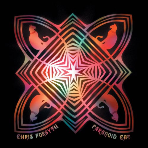 Chris Forsyth - Paranoid Cat (2011)