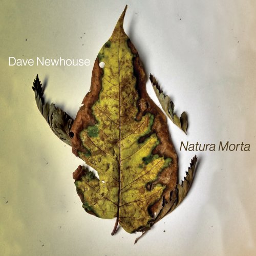 Dave Newhouse - Natura Morta (2024) [Hi-Res]