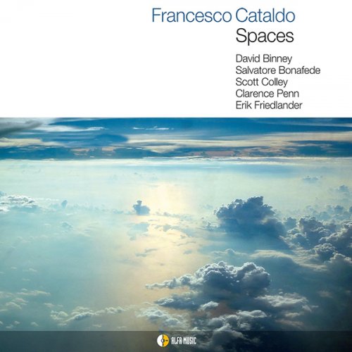Francesco Cataldo - Spaces (2013) [Hi-Res]