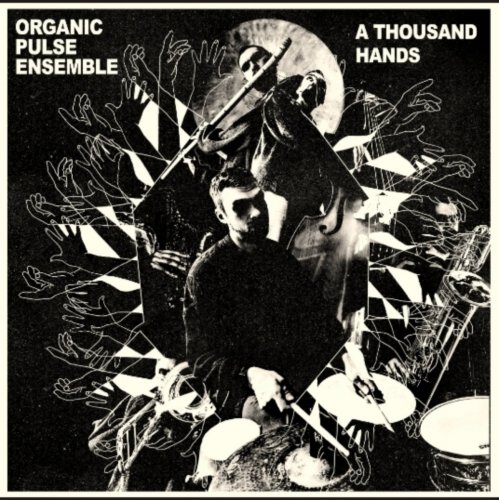 Organic Pulse Ensemble - A Thousand Hands (2023) [Hi-Res]