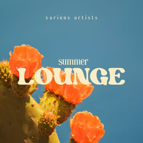 VA - Summer Lounge (2024)