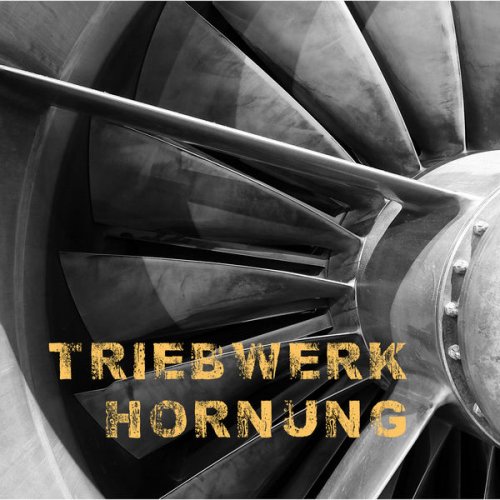Triebwerk Hornung - Triebwerk Hornung (2016)