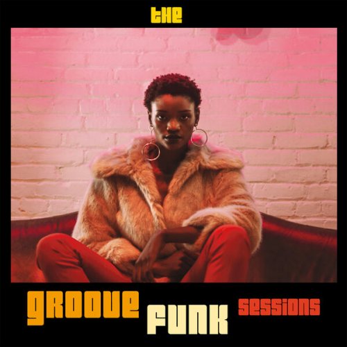 VA - The Groove Funk Sessions (2024)
