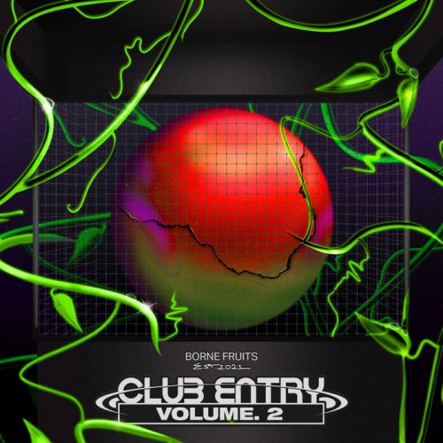 VA - Club Entry, Vol. 2 (2024)