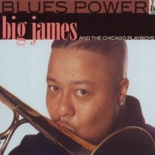 Big James And The Chicago Playboys - Blues Power (2003)