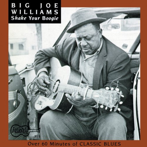 Big Joe Williams - Shake Your Boogie (1990)