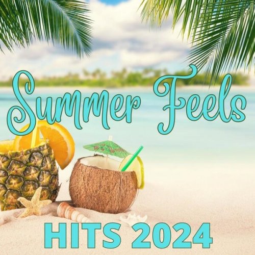VA - Summer Feels - Hits 2024 (2024)