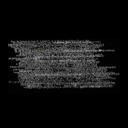 Ty Segall - Ty Rex (2011, Expanded Reissue 2015)