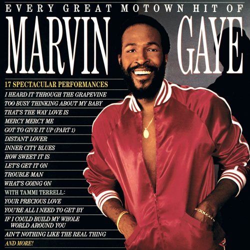 Marvin Gaye - Every Great Motown Hit Of Marvin Gaye (1983) [Hi-Res]