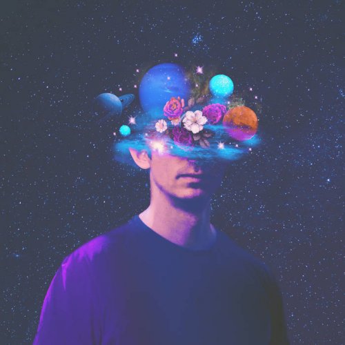 Fred V - Luminous (2024)