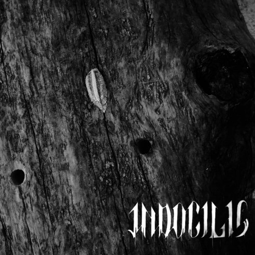 Indocilis - Poison the Hive (2024) Hi-Res