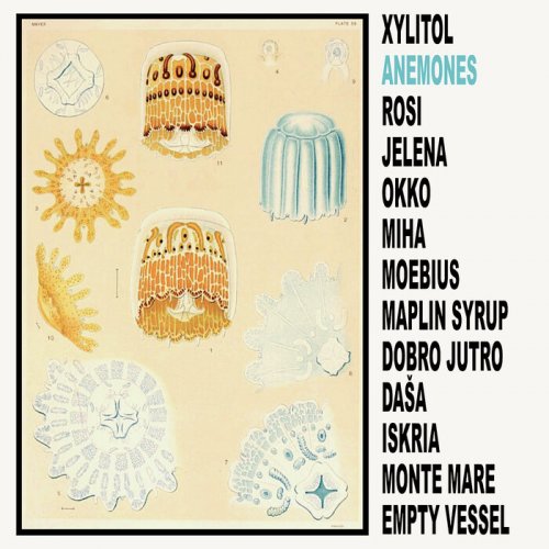 Xylitol - Anemones (2024)