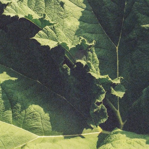 Atlas Trio - Bleu Orage (2024) [Hi-Res]