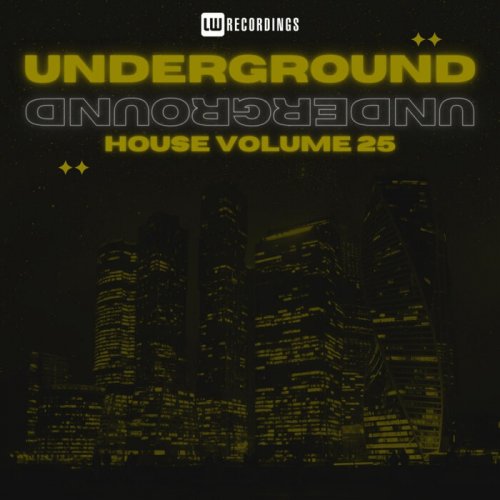 VA - Underground House, Vol. 25 (2024) FLAC