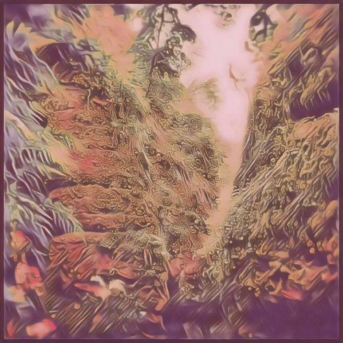 Autark - Bloom (2024)