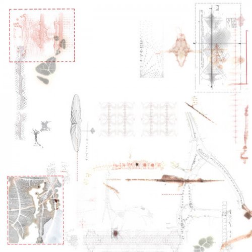REV - DICA (2024)
