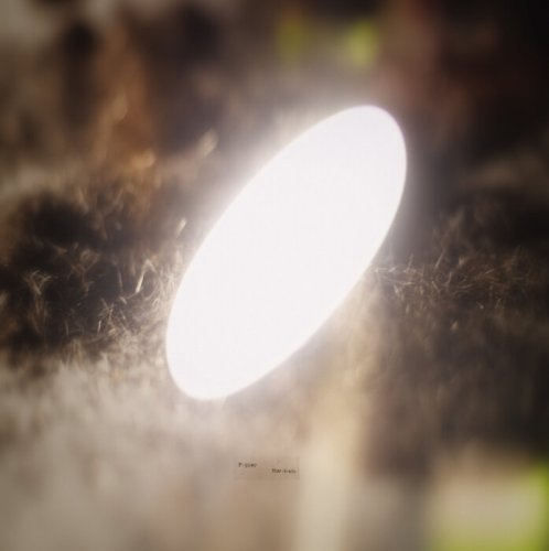 Fupper - Hair Clouds (2024)