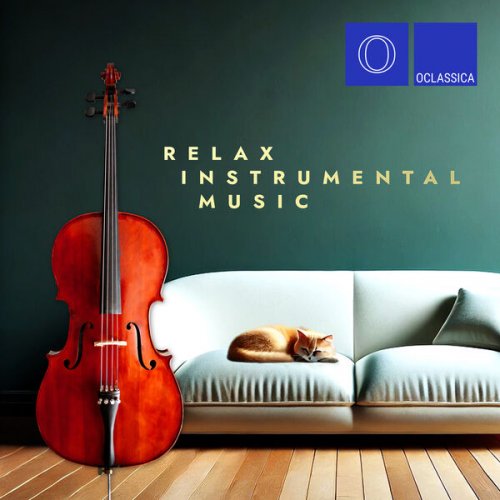 VA - Relax Instrumental Music (2024)