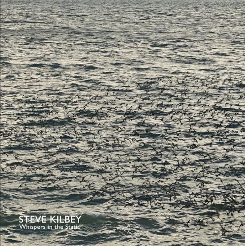 Steve Kilbey - Whispers In The Static (2024)