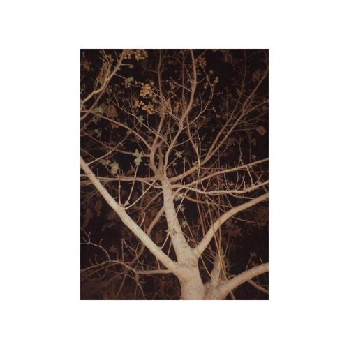 Fiamma Impura - Solo (2024) Hi-Res