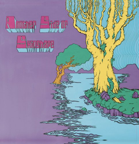 Skinshape - Another Side Of Skinshape (2024) [Hi-Res]