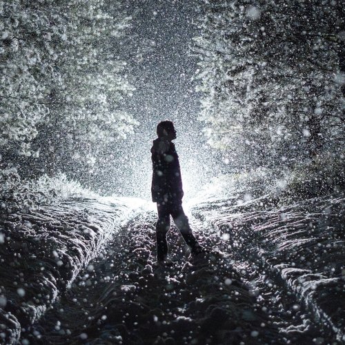 Max McNown - Willfully Blind (2024) [E-AC-3 JOC Dolby Atmos]
