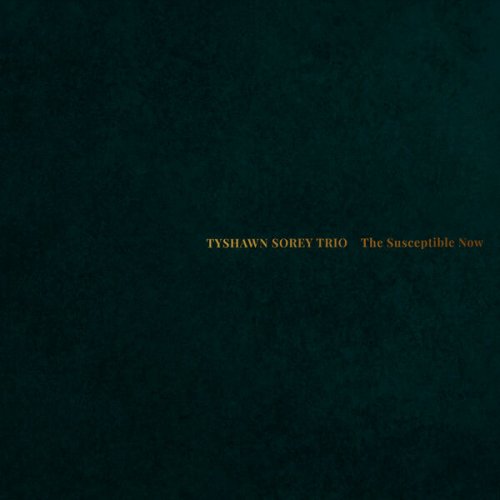 Tyshawn Sorey - The Susceptible Now (2024) [Hi-Res]