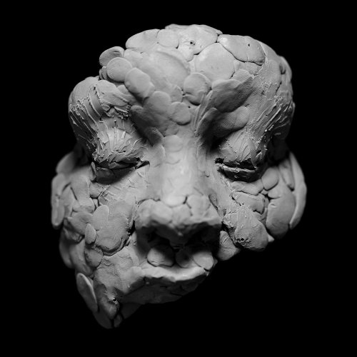 Joy Oladokun - OBSERVATIONS FROM A CROWDED ROOM (2024) [Hi-Res]