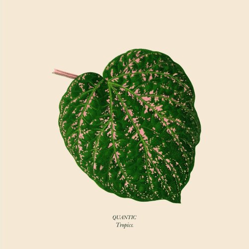Quantic - Tropics EP (2024)