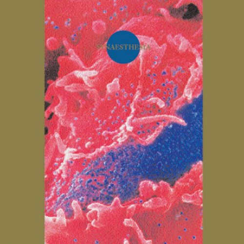 Death Ambient - Synæsthesia (1999)