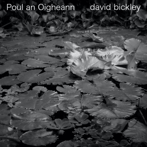 David Bickley - Poul an Oigheann (2025)