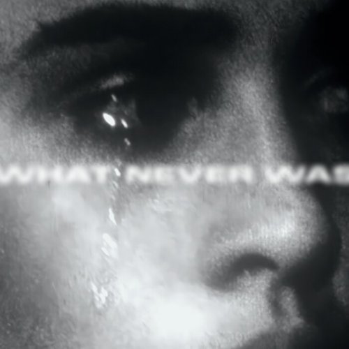 VA - WHAT NEVER WAS Vol. VI (2025)