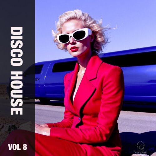 VA - Disco House Vol 8 (2025)