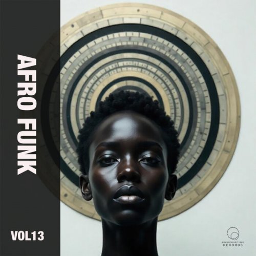 VA - Afro Funk, Vol. 13 (2025)