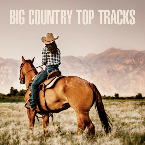 VA - Big Country Top Tracks (2025)