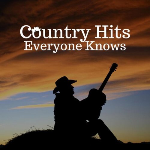 VA - Country Hits Everyone Knows (2025)