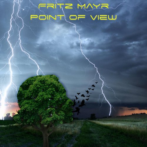 Fritz Mayr - Point of View (2021) [Hi-Res]